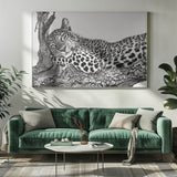 Time to rest Leopard