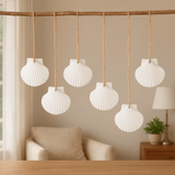 Natural scallop shell ornaments 16PCS for home decor
