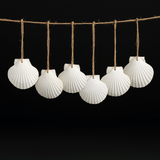 Natural scallop shell ornaments 16PCS for home decor