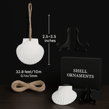 Natural scallop shell ornaments 16PCS for home decor