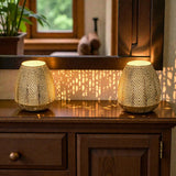7'' High Battery Powered Metal Decorative Table Lamps with Fairy Lights Bulb