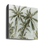 Lovely Vintage Palm Trees