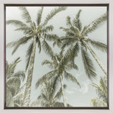 Lovely Vintage Palm Trees