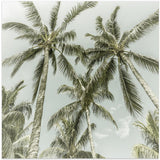 Lovely Vintage Palm Trees
